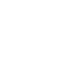 Dana Franzis Logo